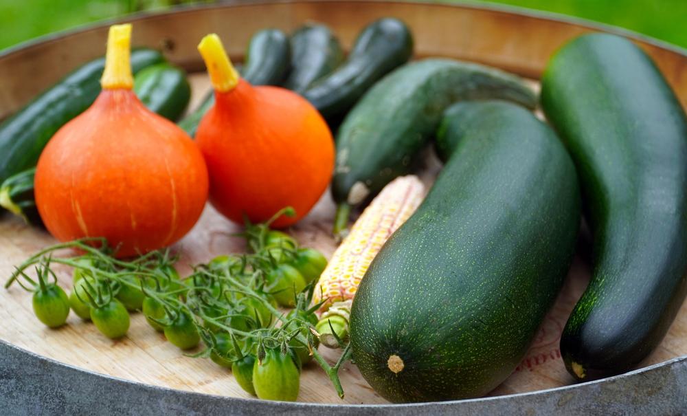 zucchini noodles