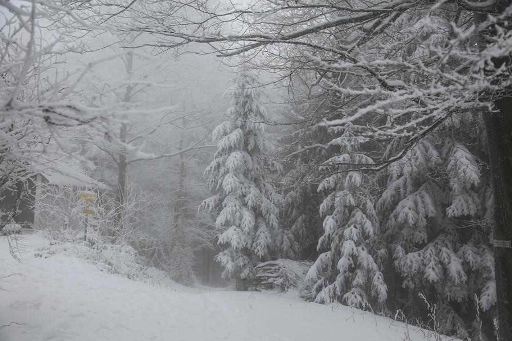 winter landscape-38399a81604a4c02aed1e228284cdd96.jpg winter landscape